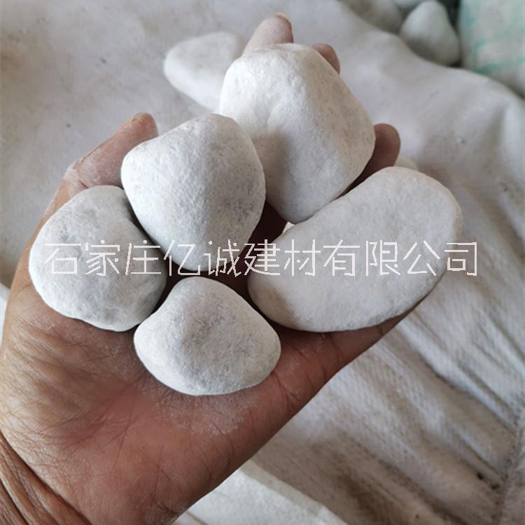 河北億誠(chéng)廠家供應(yīng)  白色機(jī)制鵝卵石 花盆魚缸裝飾雨花石
