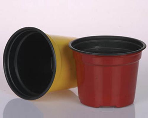 河北邢臺雙色盆供應(yīng)商 河北邢臺雙色盆生產(chǎn)廠家-邢臺雙色盆批發(fā)價格-邢臺雙色盆優(yōu)質(zhì)供應(yīng)商【玉田縣潤豐塑料制品廠】