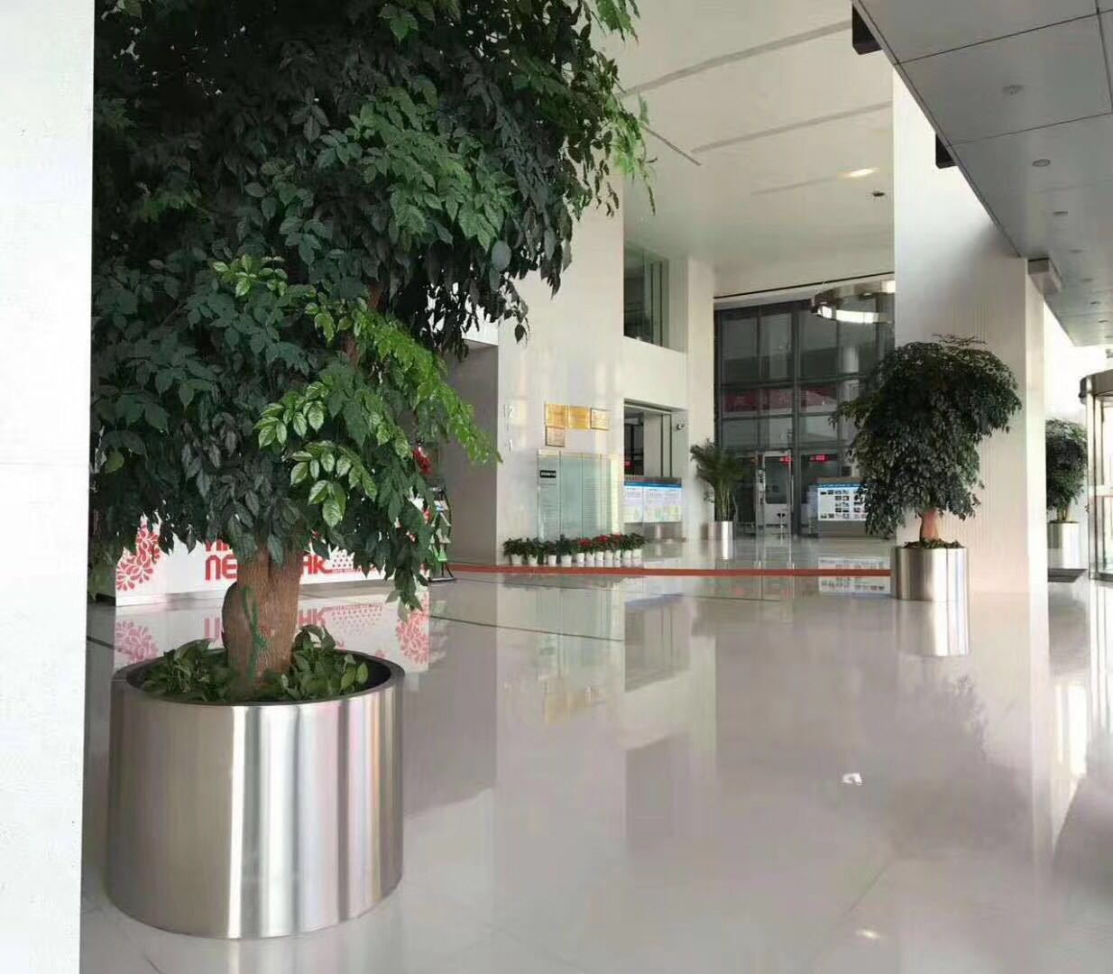 北京花卉植物租擺公司 北京植物租擺 北京花卉租賃公司