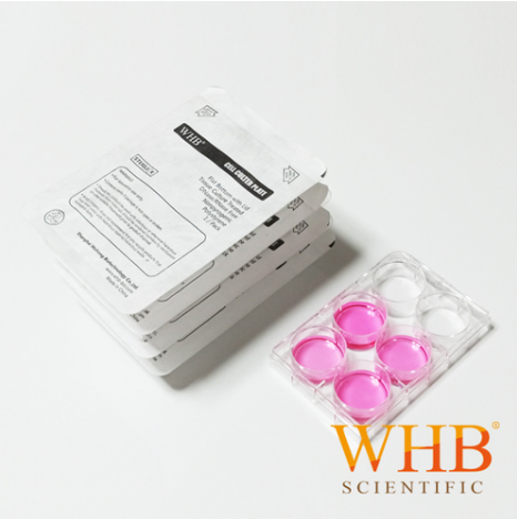 WHB-96-PD1  透明96孔培養(yǎng)板袋裝  酶標(biāo)板、微生物培養(yǎng)板 100個/箱