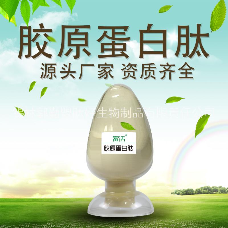 牛羊骨膠原蛋白肽粉食品原料 肽好小分子活性肽粉廠家