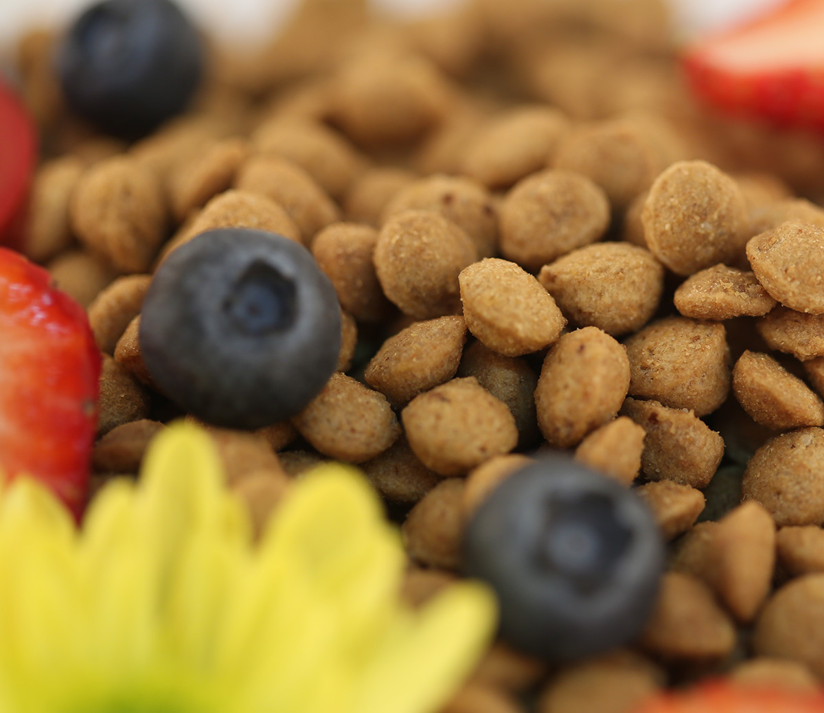 高端*OEM代工 *代工