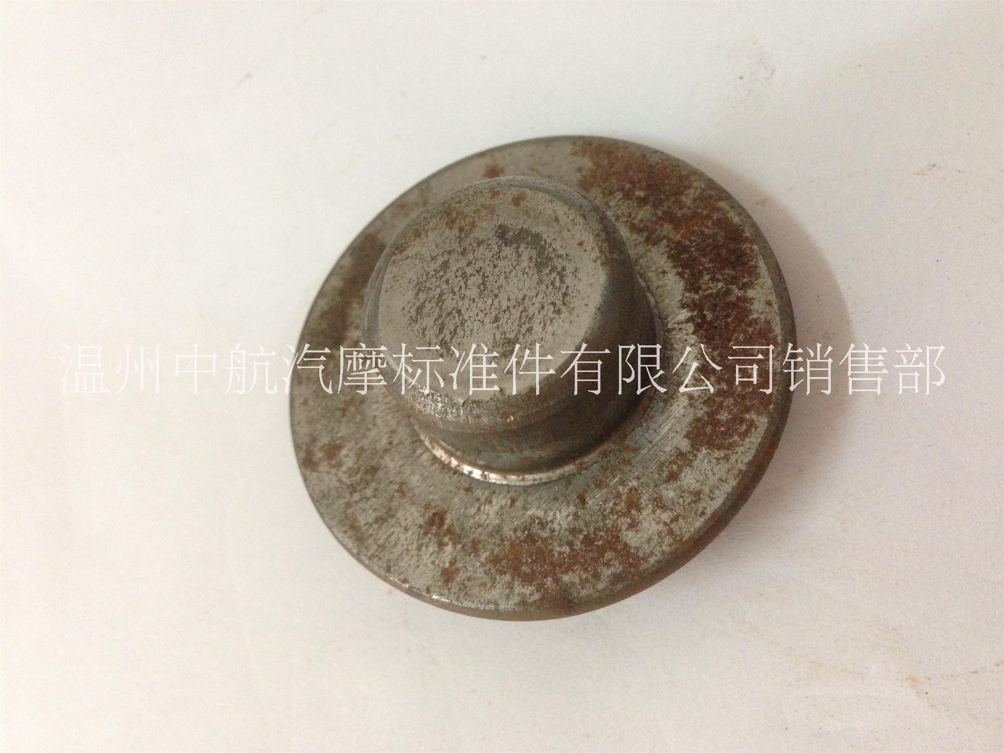 浙江大平頭螺栓定制 大扁頭螺栓訂做