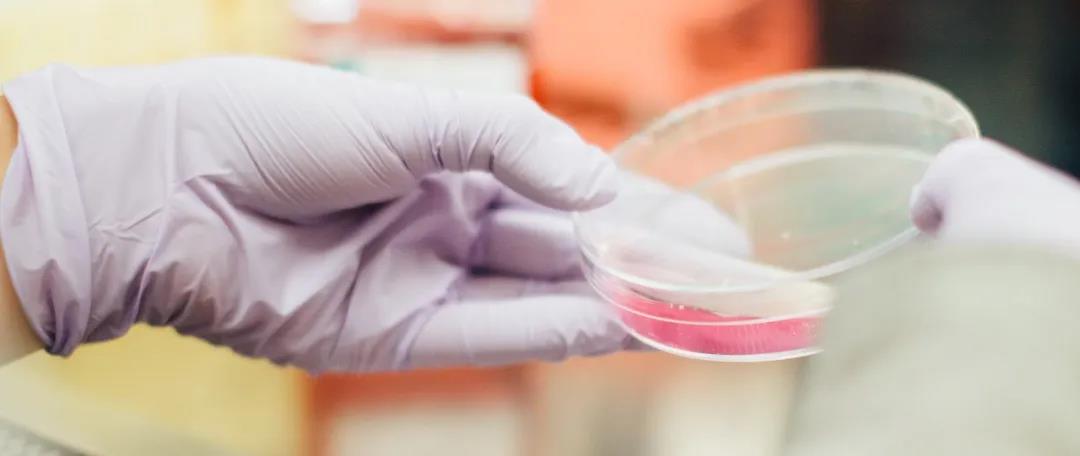 面貼膜廠家代加工生產 青浦面膜制造廠 上海面膜生產加工廠