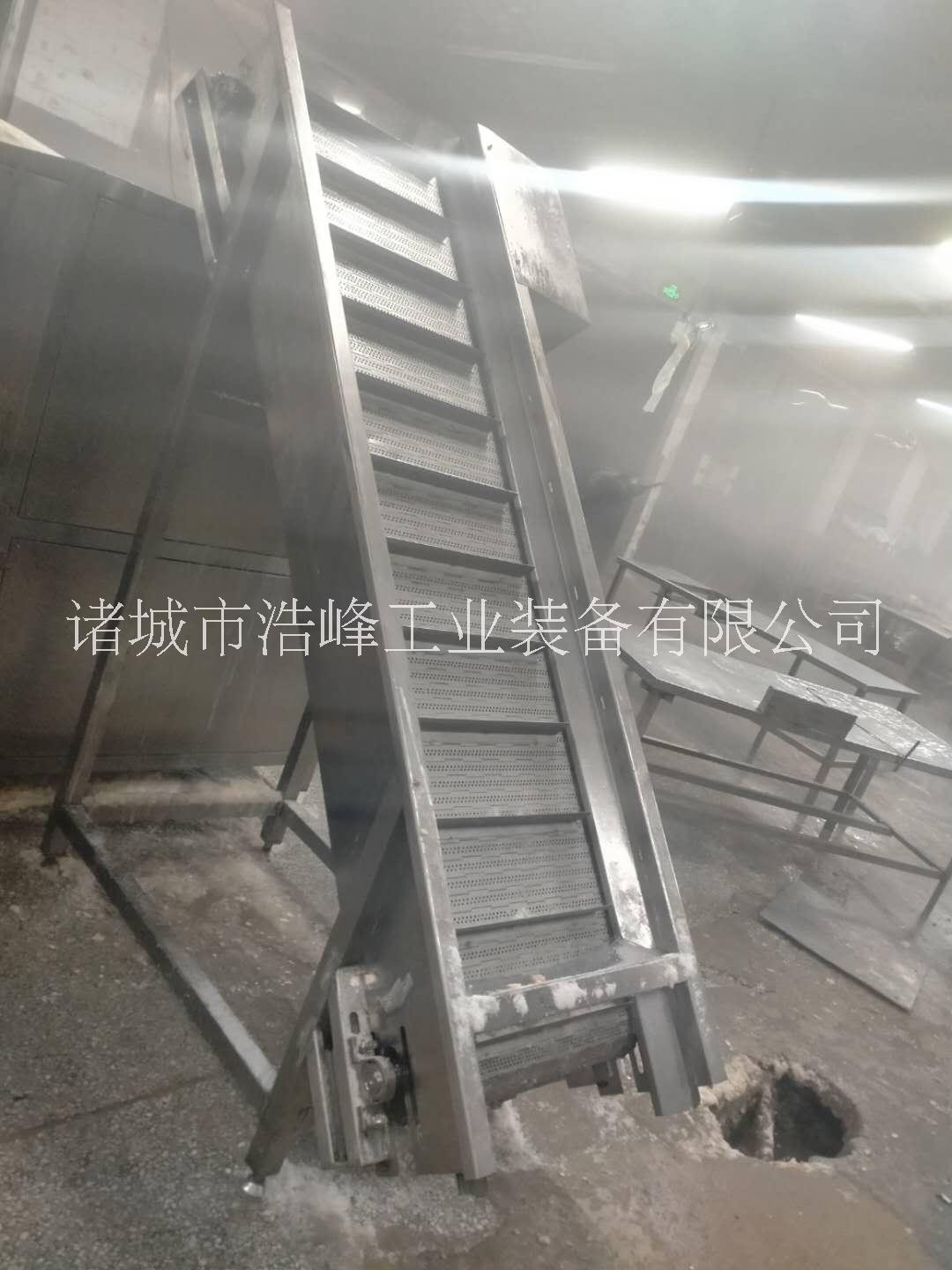 屠宰提升機,禽體提升輸送機