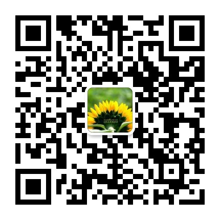 HE450A歐標(biāo)H型鋼