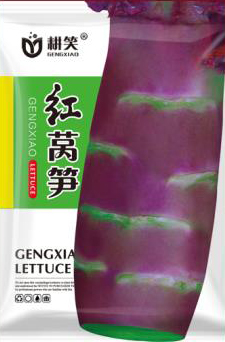 青海紅萵筍種子批發(fā)紅尖葉萵筍種子，越冬耐寒萵筍種子育種廠(chǎng)家批發(fā)供應(yīng)，*，價(jià)格合理 青海紅萵筍種子批發(fā)