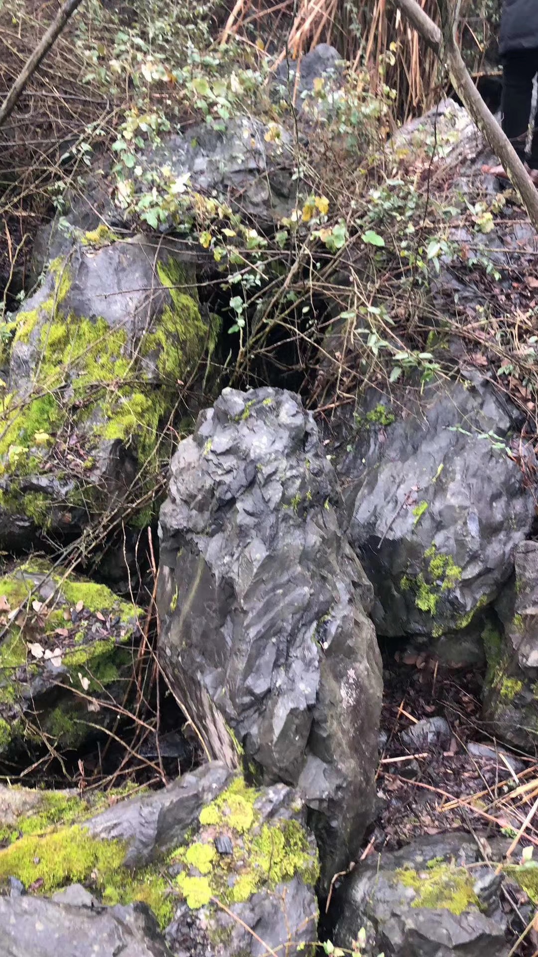 園林景觀黑山石 江西黑山石 天然黑山石批發(fā)