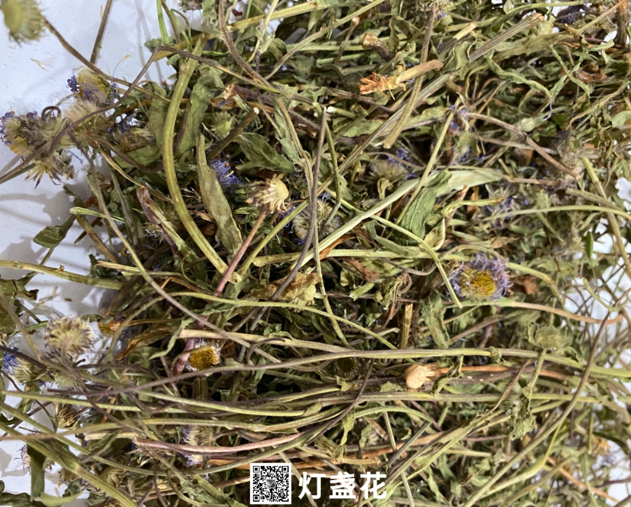 燈盞花-價(jià)格-多少錢一公斤【亳州市奇弘堂藥業(yè)有限公司】
