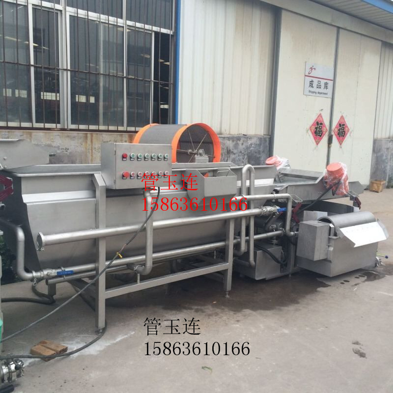 氣泡沖浪噴淋洗菜機(jī) 葉類蔬菜加