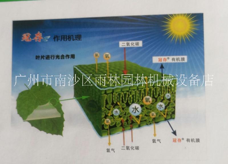 廣東廣州諾普信冠存廠(chǎng)家直銷(xiāo)價(jià)格