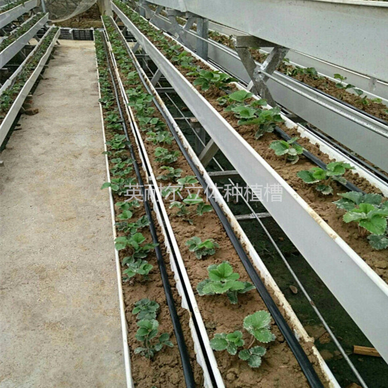 草莓立體種植槽 PVC蔬菜水培槽 英耐爾立體栽培架