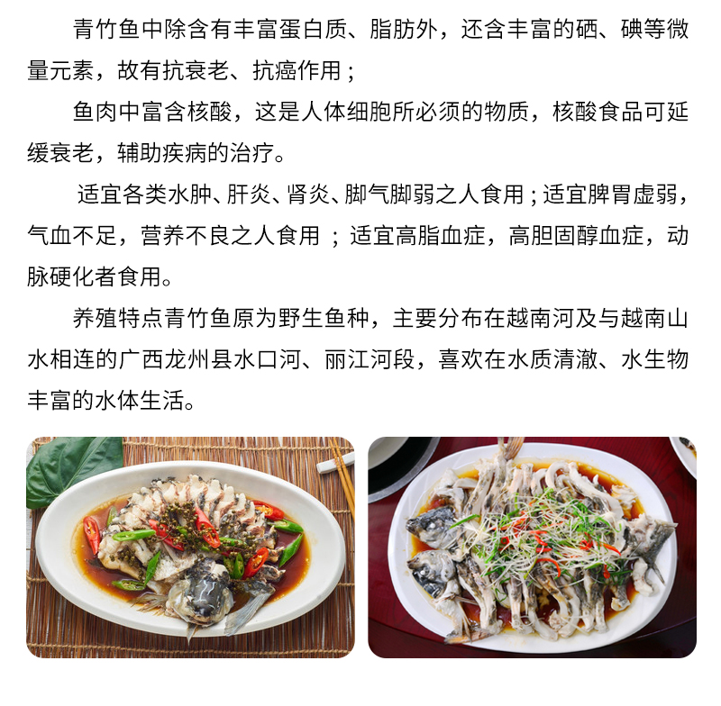 青竹鯉產(chǎn)品 青竹鯉魚養(yǎng)殖基地 青竹鯉魚供應商 鯉魚苗價格