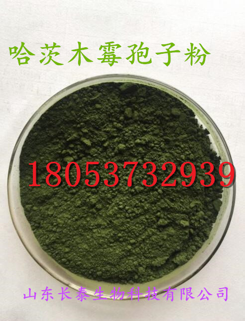 哈茨木霉菌廠家 微生物制劑