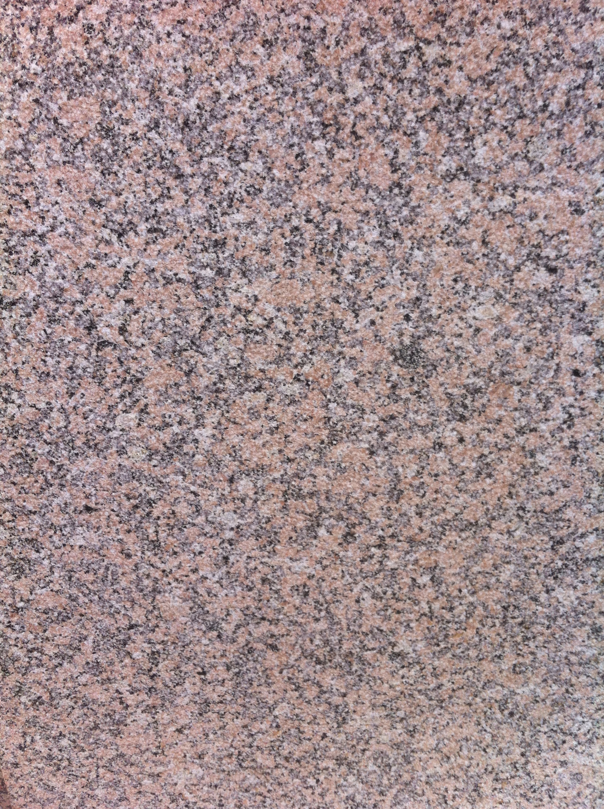 康保紅荔枝面廠家直銷