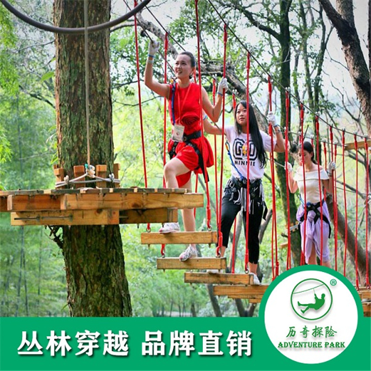 歷奇探險(xiǎn) 叢林穿越 樹上拓展 森林穿梭 戶外拓展 規(guī)劃設(shè)計(jì)安裝
