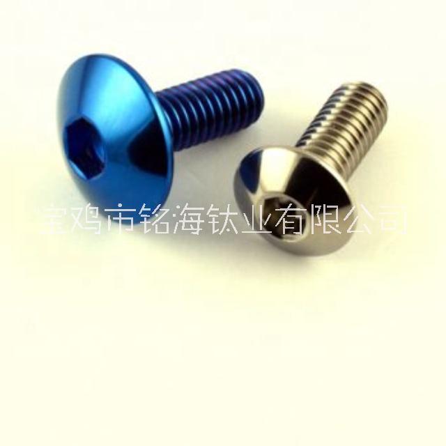 工廠熱銷M3鈦螺釘 TA2鈦螺絲陽極氧化鈦螺絲 鈦陽極螺絲