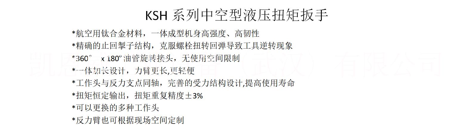 供應(yīng)中空型液壓扳手，進(jìn)口品質(zhì)，型號(hào)齊全可定制，凱恩威 中空型液壓扳手