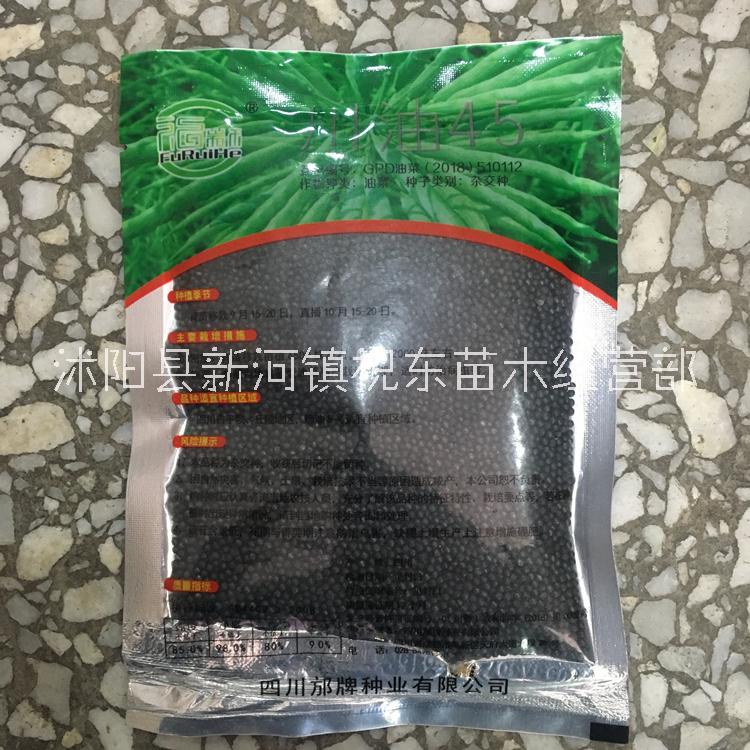 油寶雜交油菜花種子顏軻種業(yè)供應矮桿早熟高產(chǎn)油抗寒油菜花種子