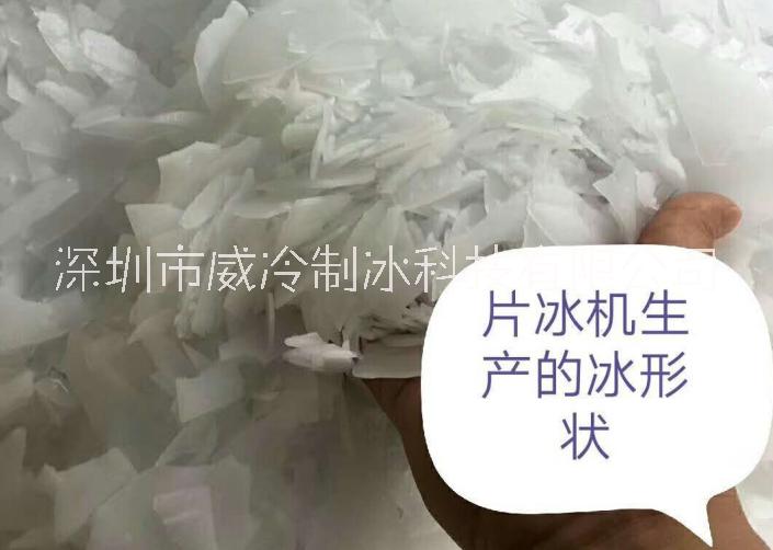 3T海水片冰機(jī) 漁船海水制冰機(jī)