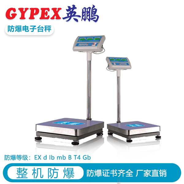廣東防爆電子秤，中山防爆電子秤300KG