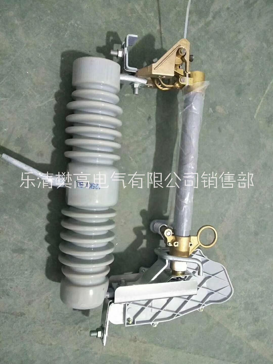 跌落式熔斷器RW10-12F/100A