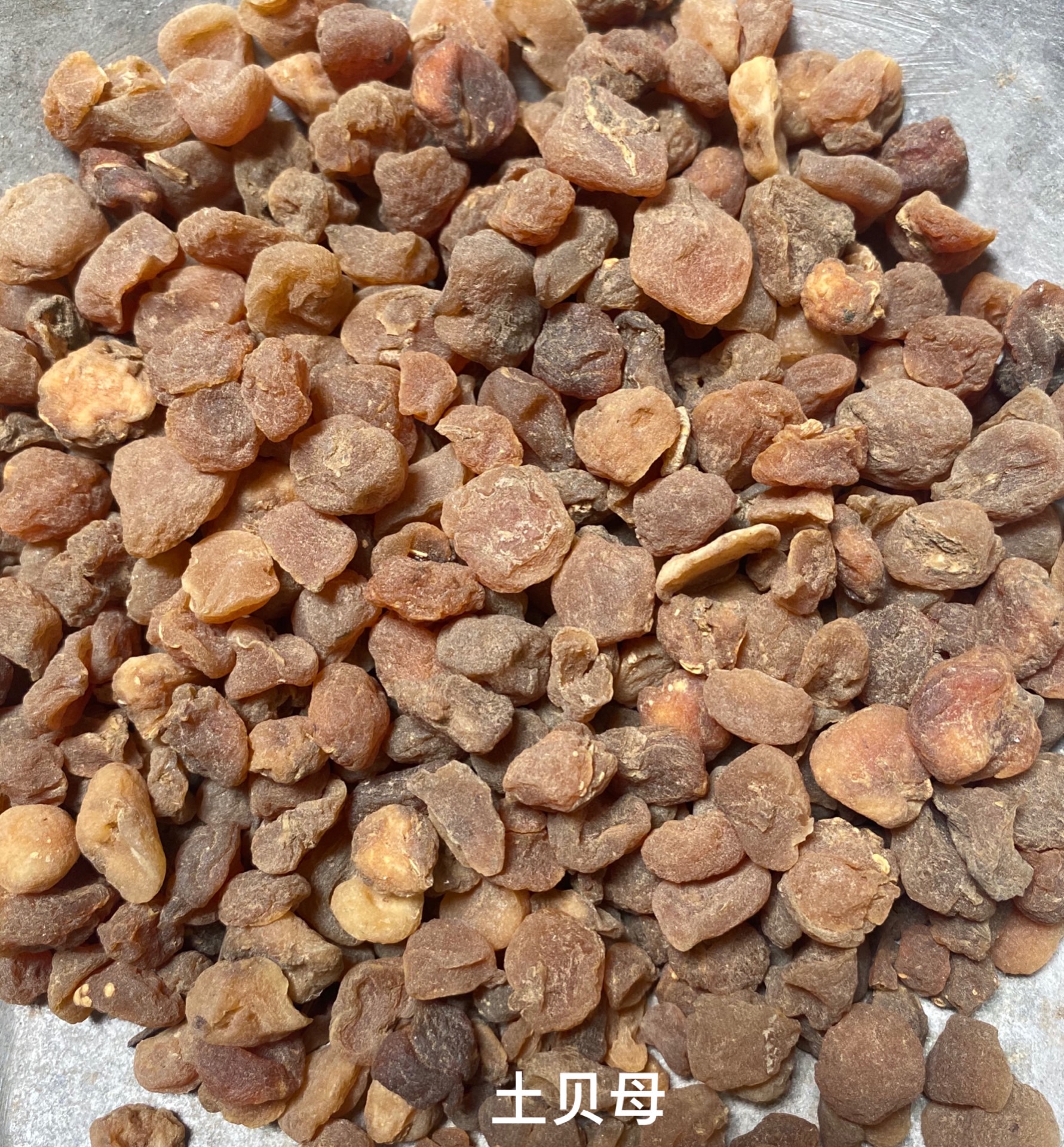 土貝母-價格-哪里買得到【亳州市奇弘堂藥業(yè)有限公司】