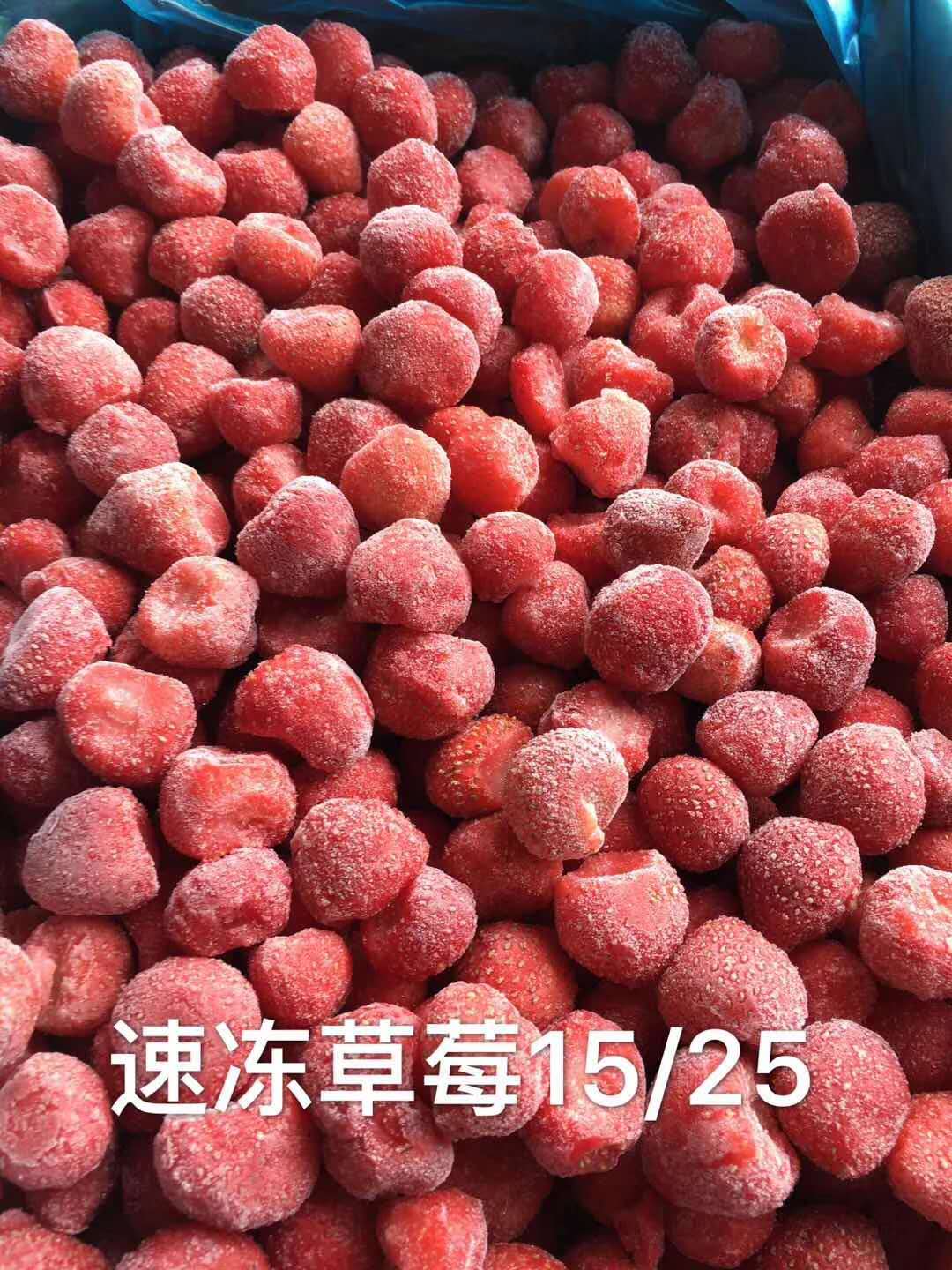 山東凍品冷庫廠家@供應(yīng)商@報價@直銷@批發(fā)價@多少錢【淄博市金利豪制冷設(shè)備有限公司】