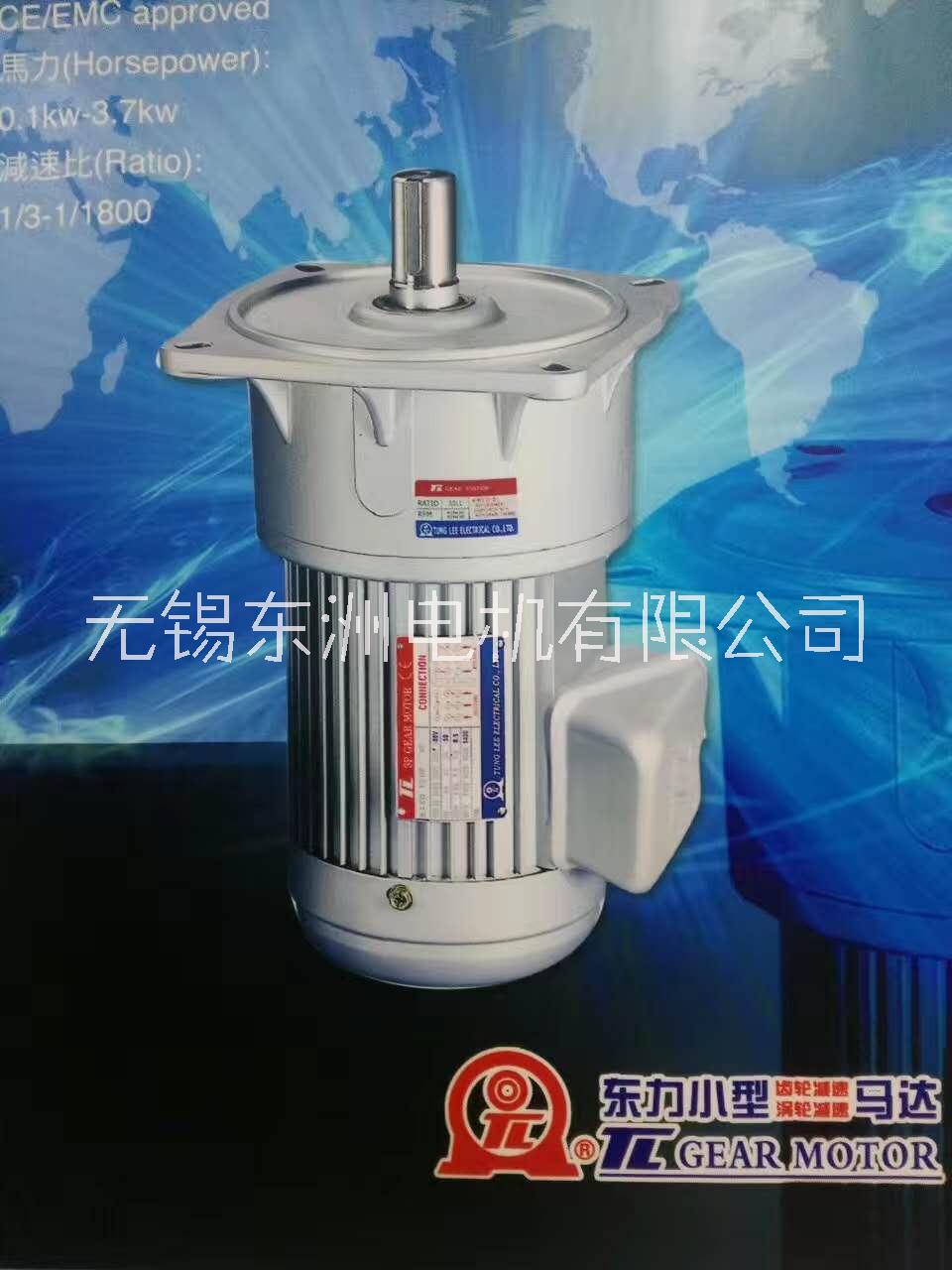 無錫東洲電機(jī)有限公司 小型齒輪減速電機(jī) 廠家直銷 價(jià)格實(shí)惠
