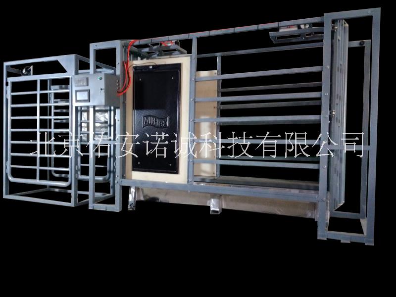 牛只*全自動保定稱重分群系統(tǒng)
