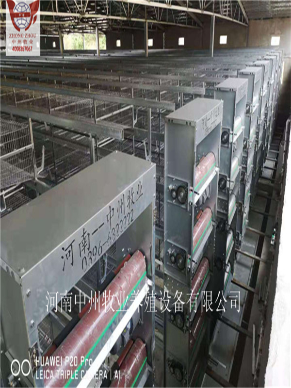 青年雞籠 自動(dòng)化籠養(yǎng)設(shè)備 清糞機(jī) 喂料機(jī)全自動(dòng)化設(shè)備