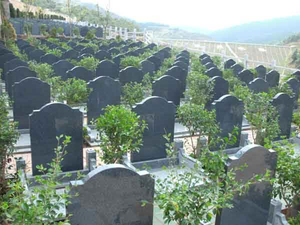 萬(wàn)壽園公墓公墓的價(jià)格