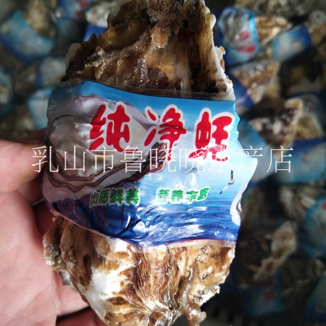 山東乳山牡蠣批發(fā)價格生蠔廠家直銷