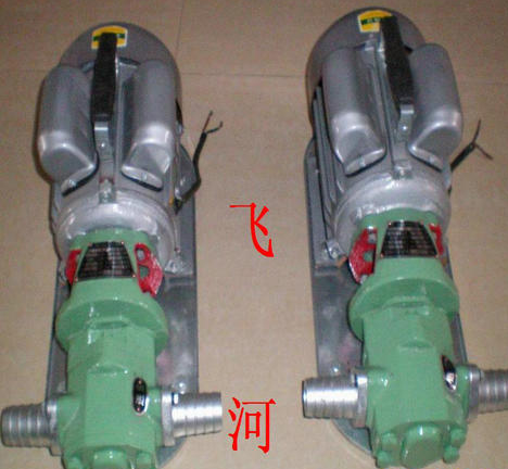 上海微型齒輪油泵供應(yīng)商 微型齒輪油泵廠家