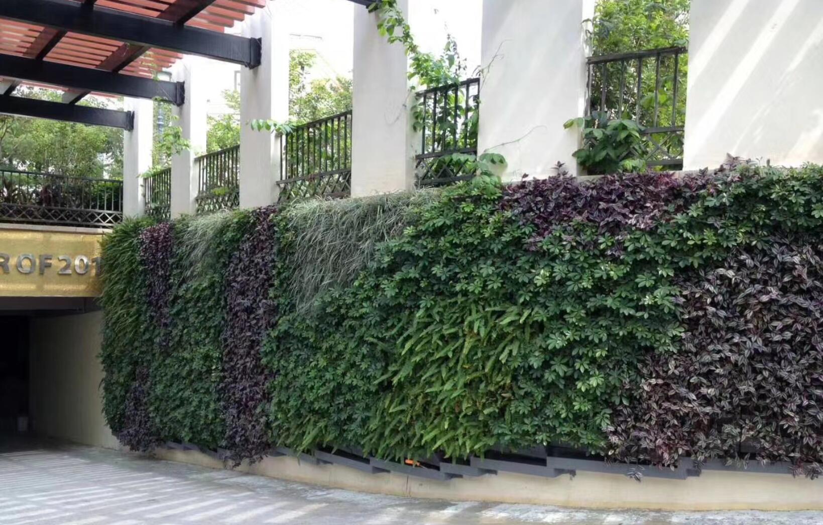 市政圍擋植物墻廠家報價植物墻安裝-【春明園林】