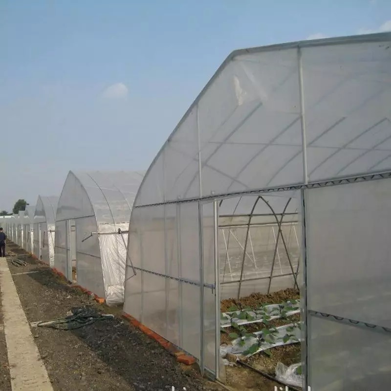 江蘇 溫室種植大棚工程建議，定制薄膜連棟溫室大棚價(jià)格