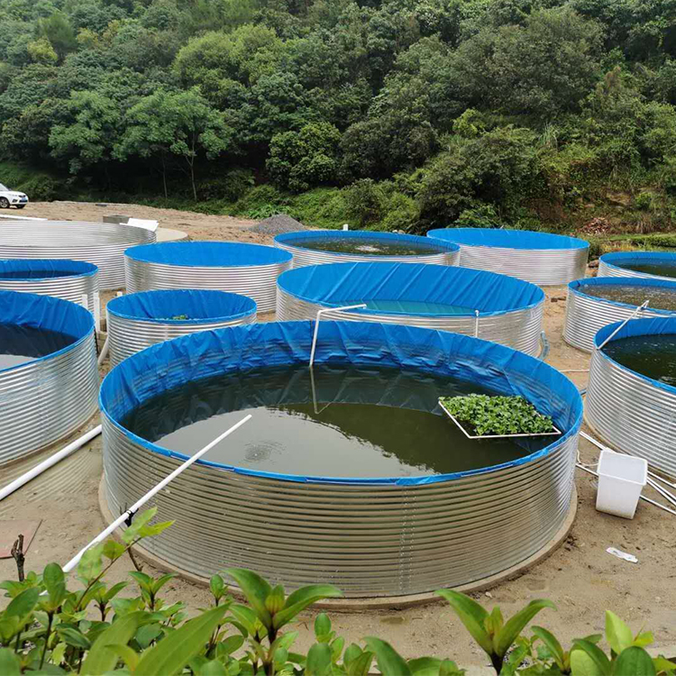 圓形鍍鋅板帆布水池鐵桶帆布池高密度養(yǎng)殖帆布魚池