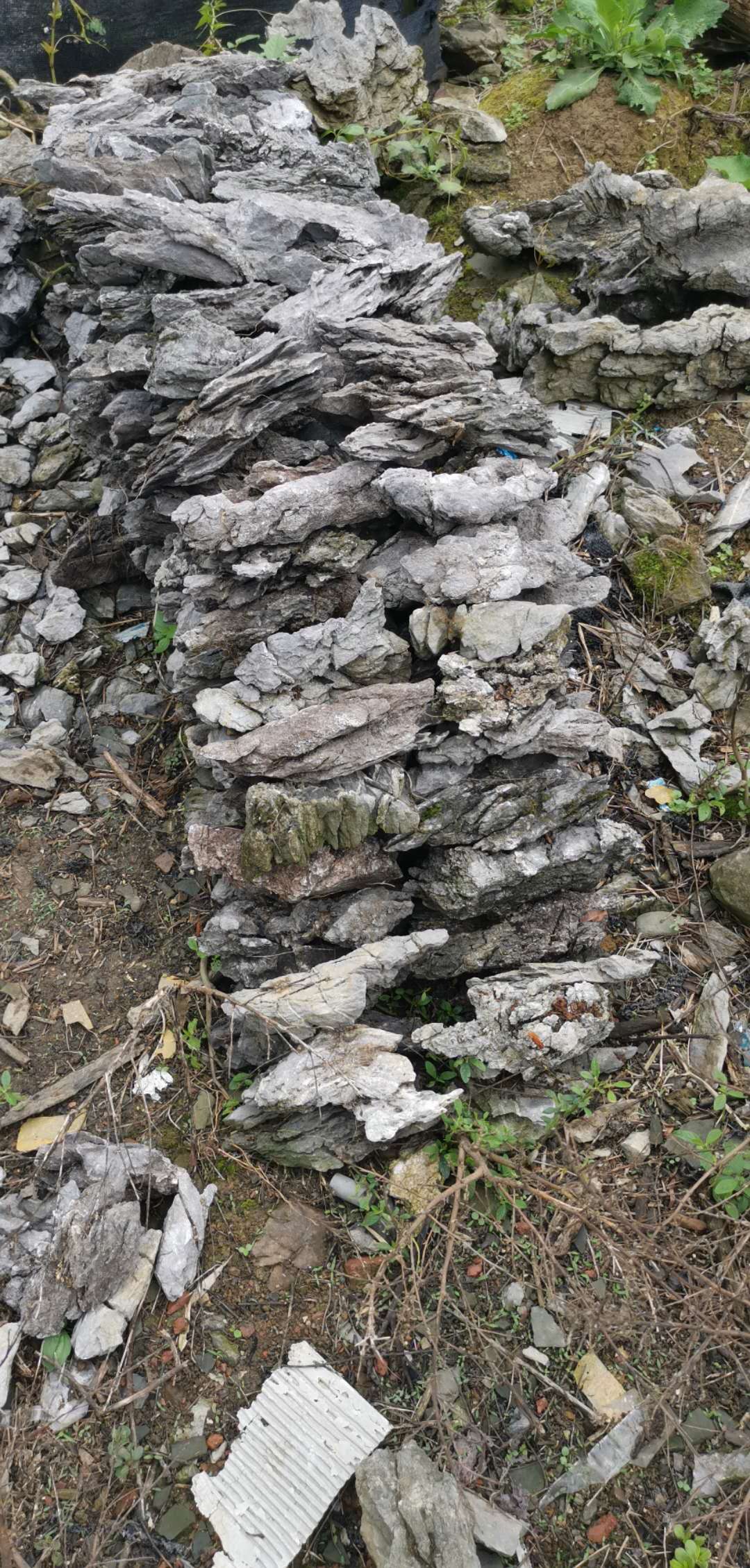廣東青龍石批發(fā)廠家