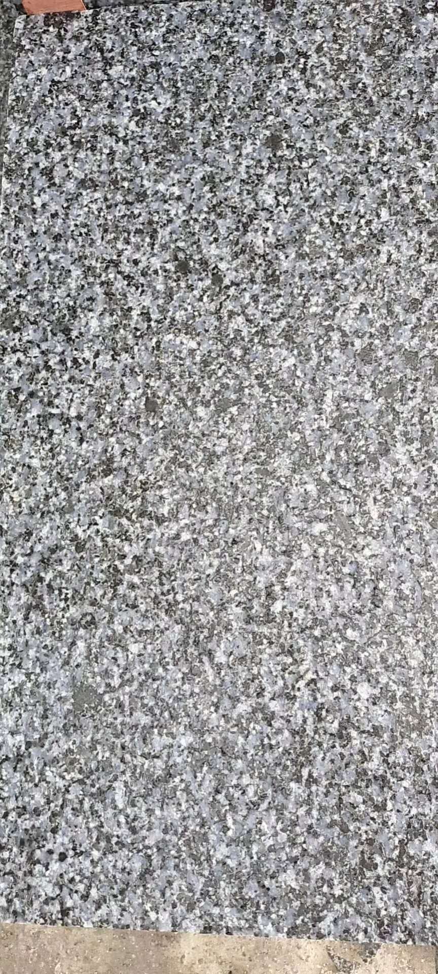 江西芝麻黑燒面價格