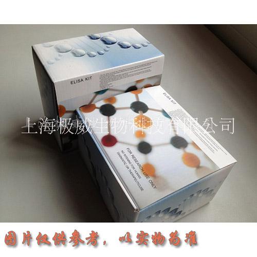 豬γ干擾素(IFN-γ)試劑盒@今日新聞