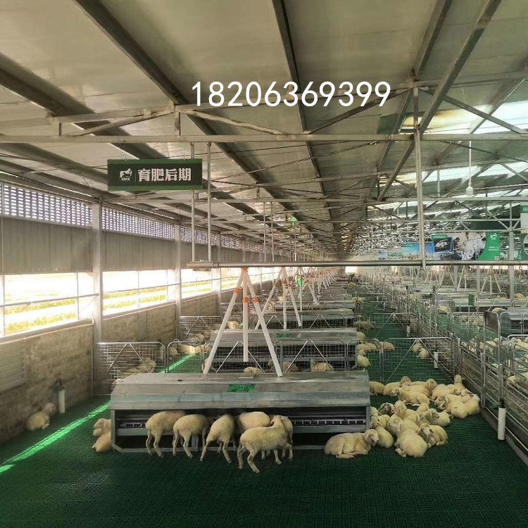 新疆塑料羊糞板卡扣拼接塑料羊床羊舍*羊糞板安裝