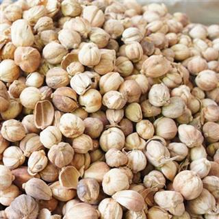 批發(fā)零售中藥材白豆蔻 白叩 白蔻仁 溫中散寒 * 止嘔