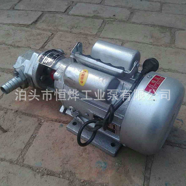 廠家供應(yīng) 手提式齒輪泵 電動(dòng)WCB-30高溫齒輪泵 齒輪油泵