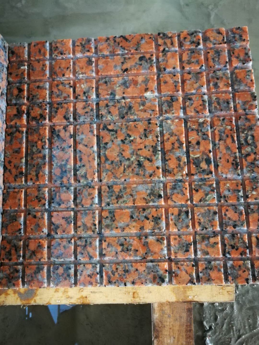 楓葉紅廠家  楓葉紅哪家好  楓葉紅廠家直銷