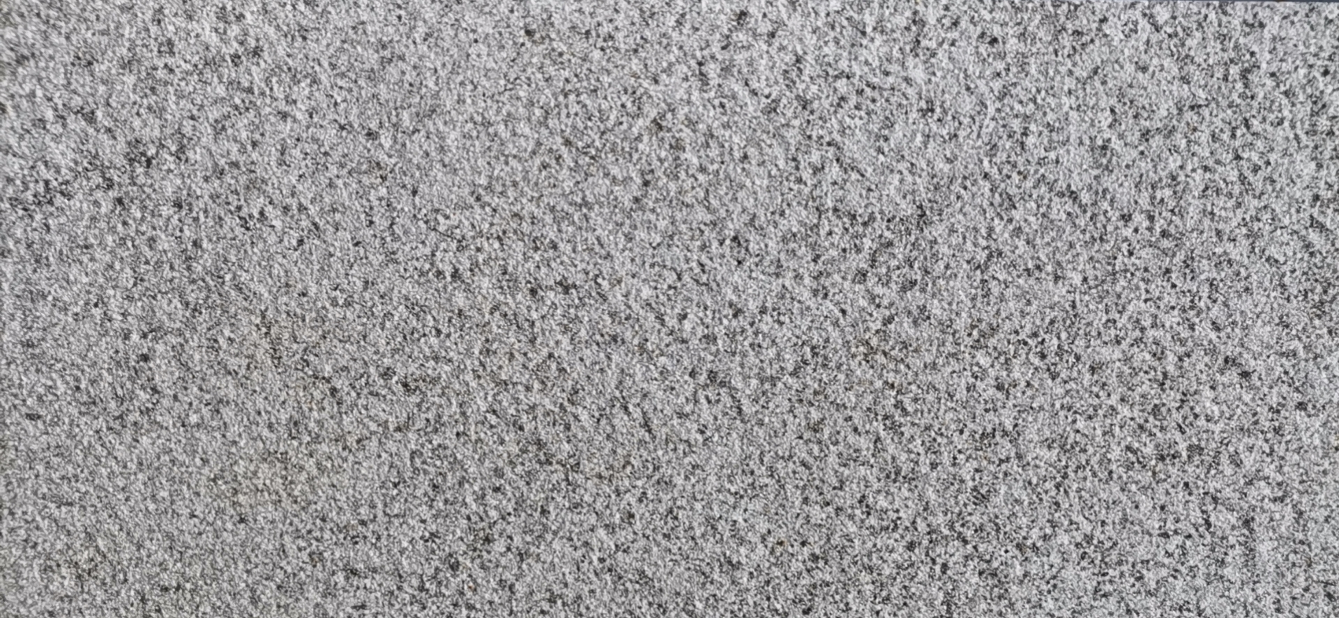 福建芝麻黑茘枝面新G654
