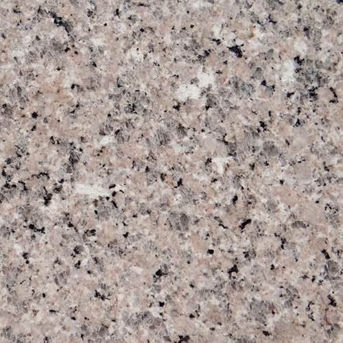 山東櫻花紅價格