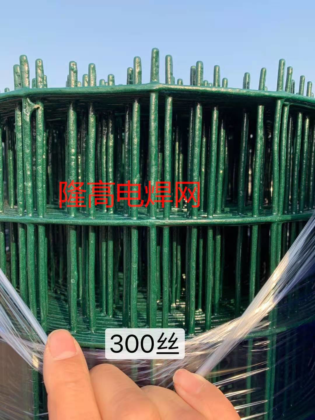 供應荷蘭網(wǎng) 果園圍網(wǎng) 圈山網(wǎng) 波浪護欄網(wǎng) PVC涂塑電焊網(wǎng) 隆高現(xiàn)貨