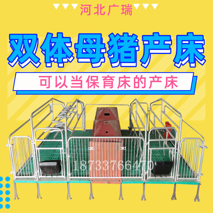 2021年母豬產(chǎn)床兩用一體雙體母豬產(chǎn)床2.5保育分娩保育分娩養(yǎng)豬設(shè)備