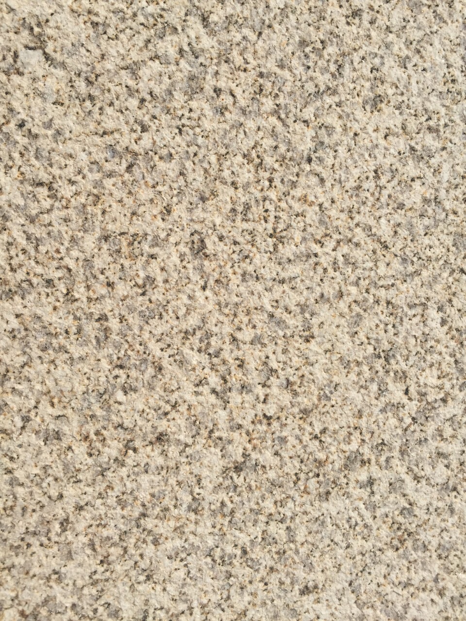 黃金麻荔枝面哪家好