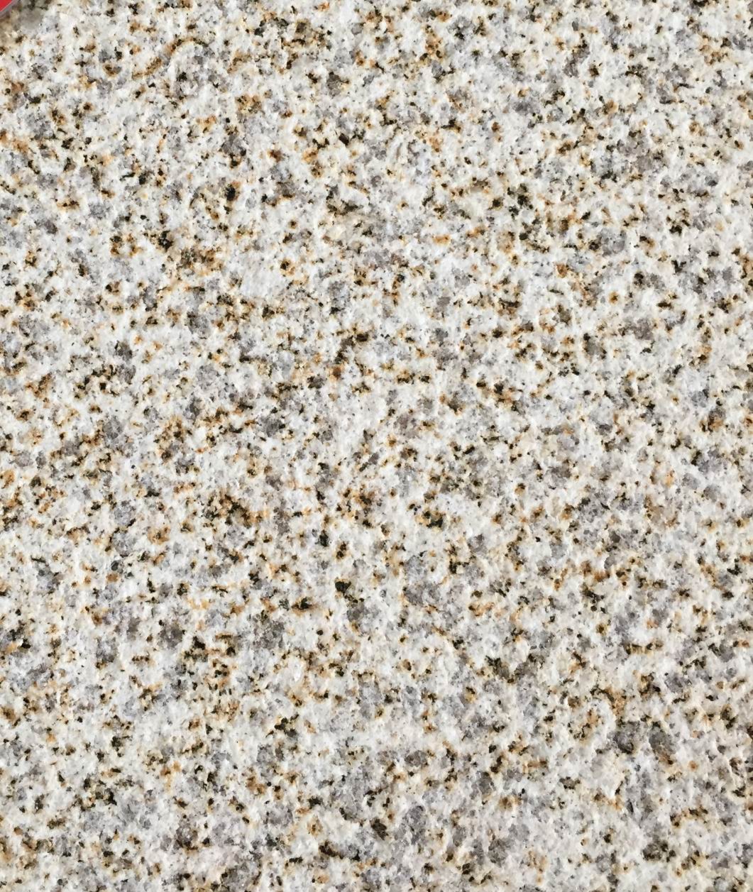 中黃荔枝面批發(fā)價格